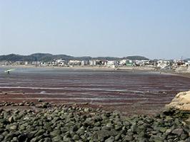 zaimokuzakaigan1