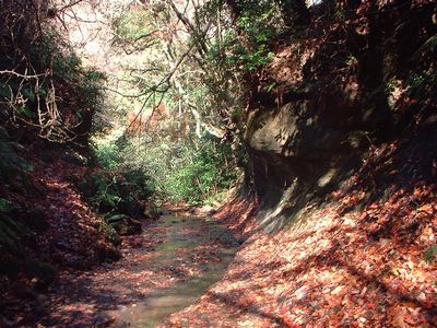 吉沢川