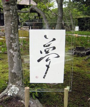 夢