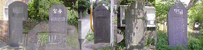 Δ